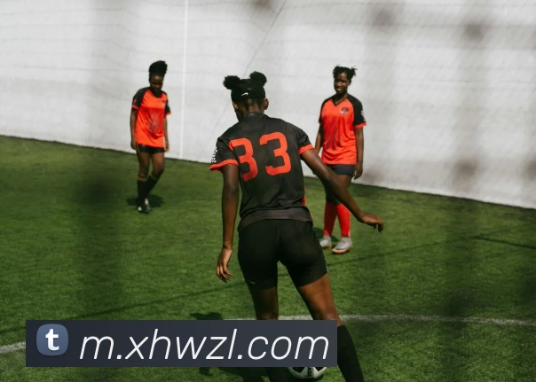 多媒体互动体验